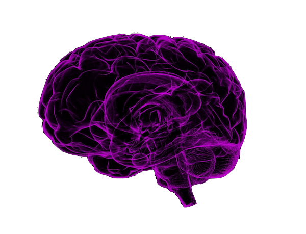 Research study by University of Washington on Alzheimers symptoms